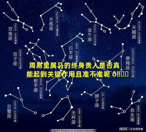 周易里属马的终身贵人是否真能起到关键作用且准不准呢 🐟